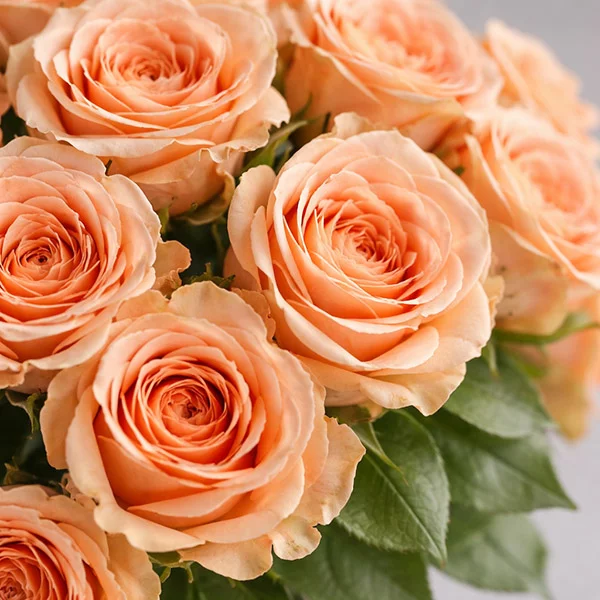 Букет кремовых роз "Капучино"